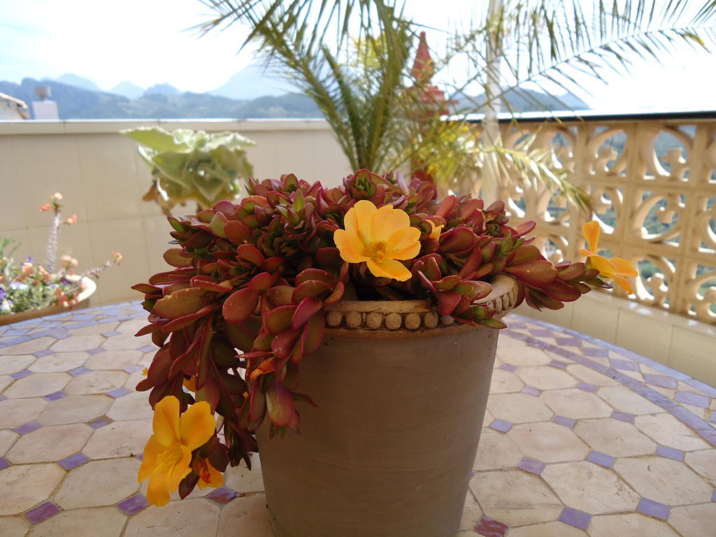 Villa Pico - Charming B&B Sella 外观 照片